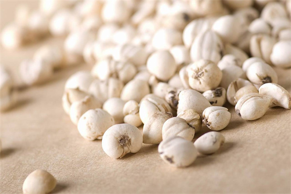 绿生药业 专注天然养身，科技赋能保健食品新未来